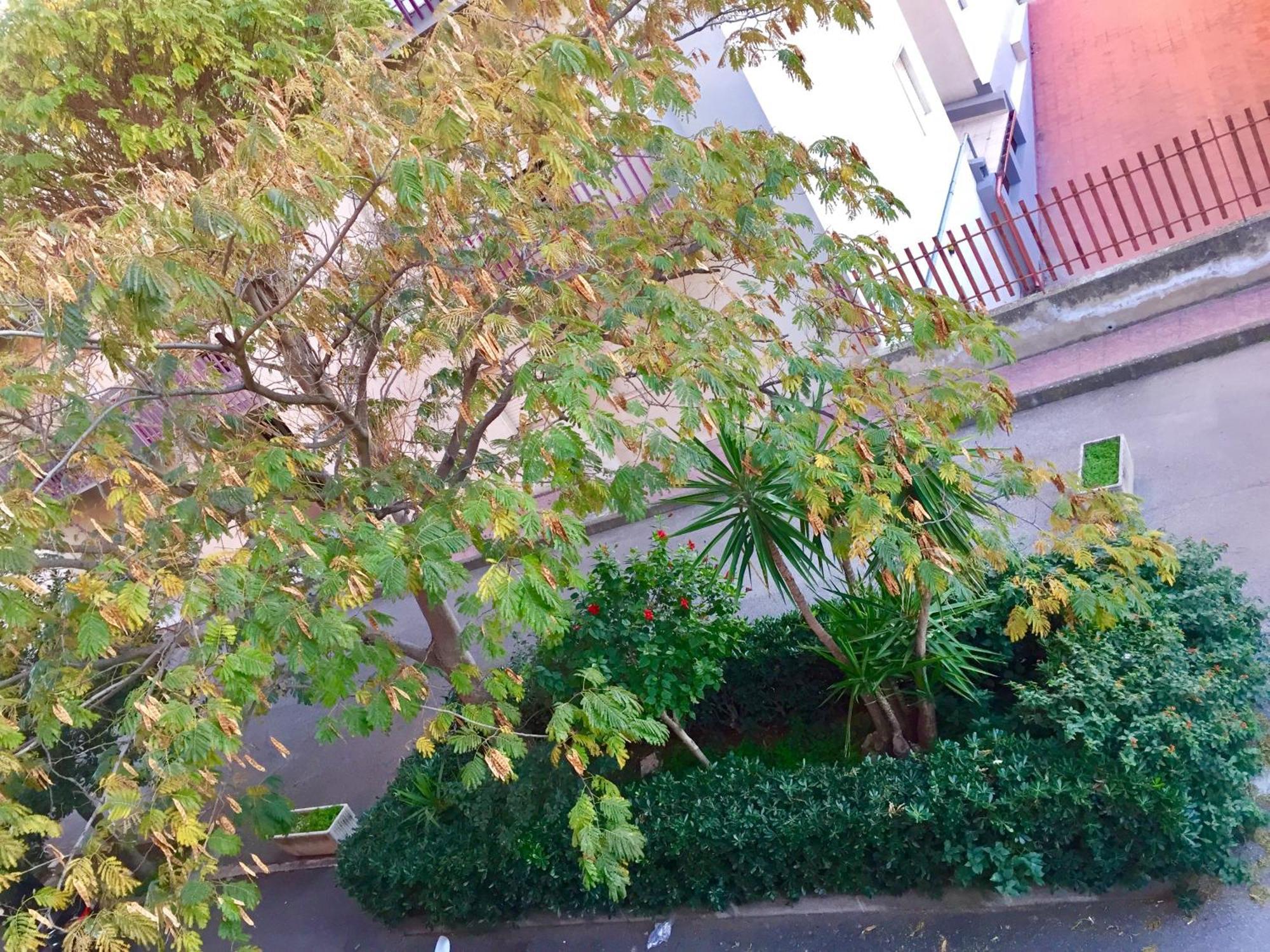 Casa Cristina Комизо